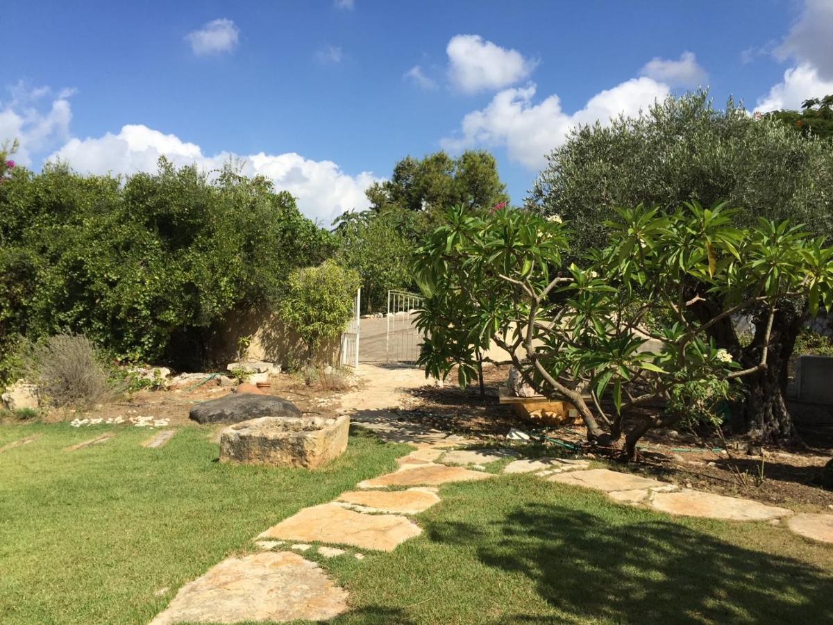 Villa Above The Sea Ein Hod Esterno foto