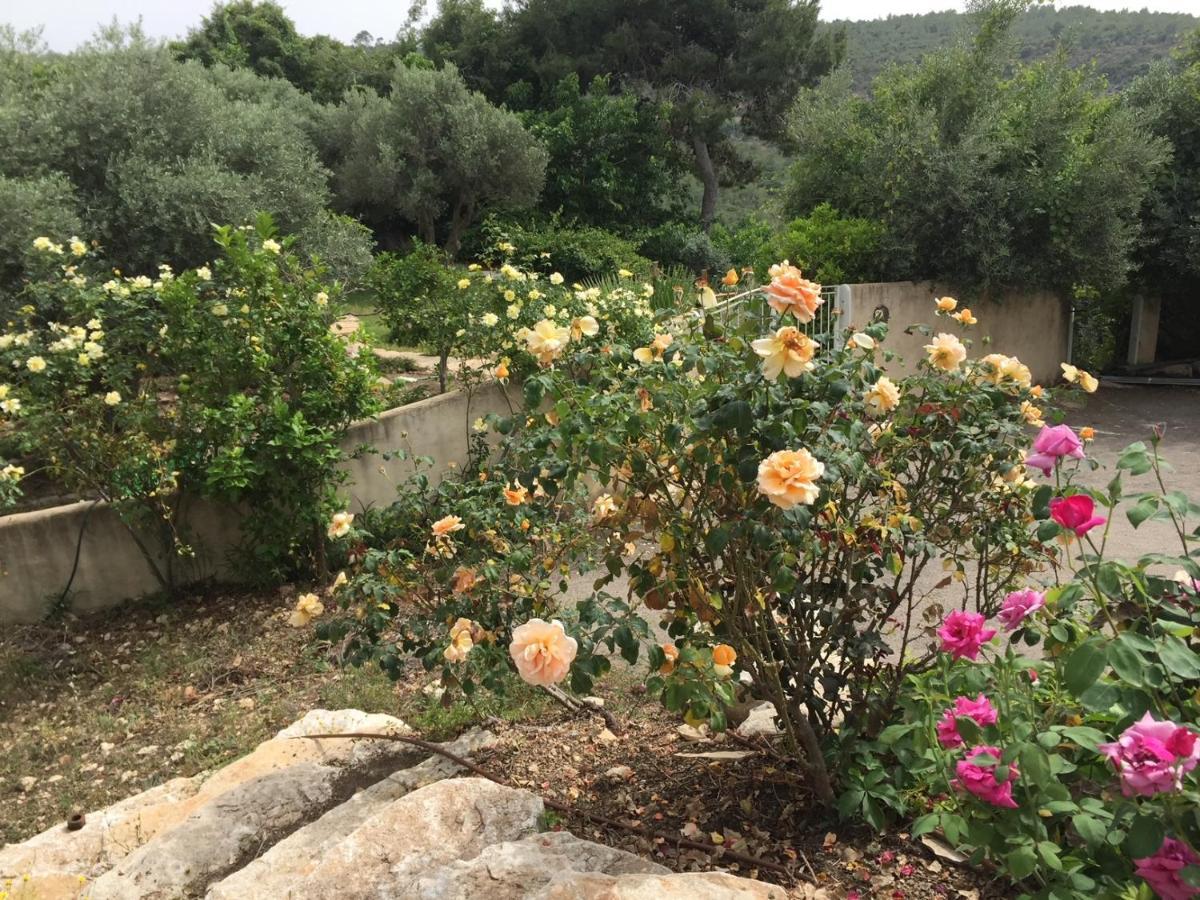 Villa Above The Sea Ein Hod Esterno foto