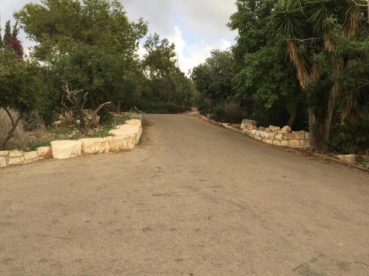 Villa Above The Sea Ein Hod Esterno foto