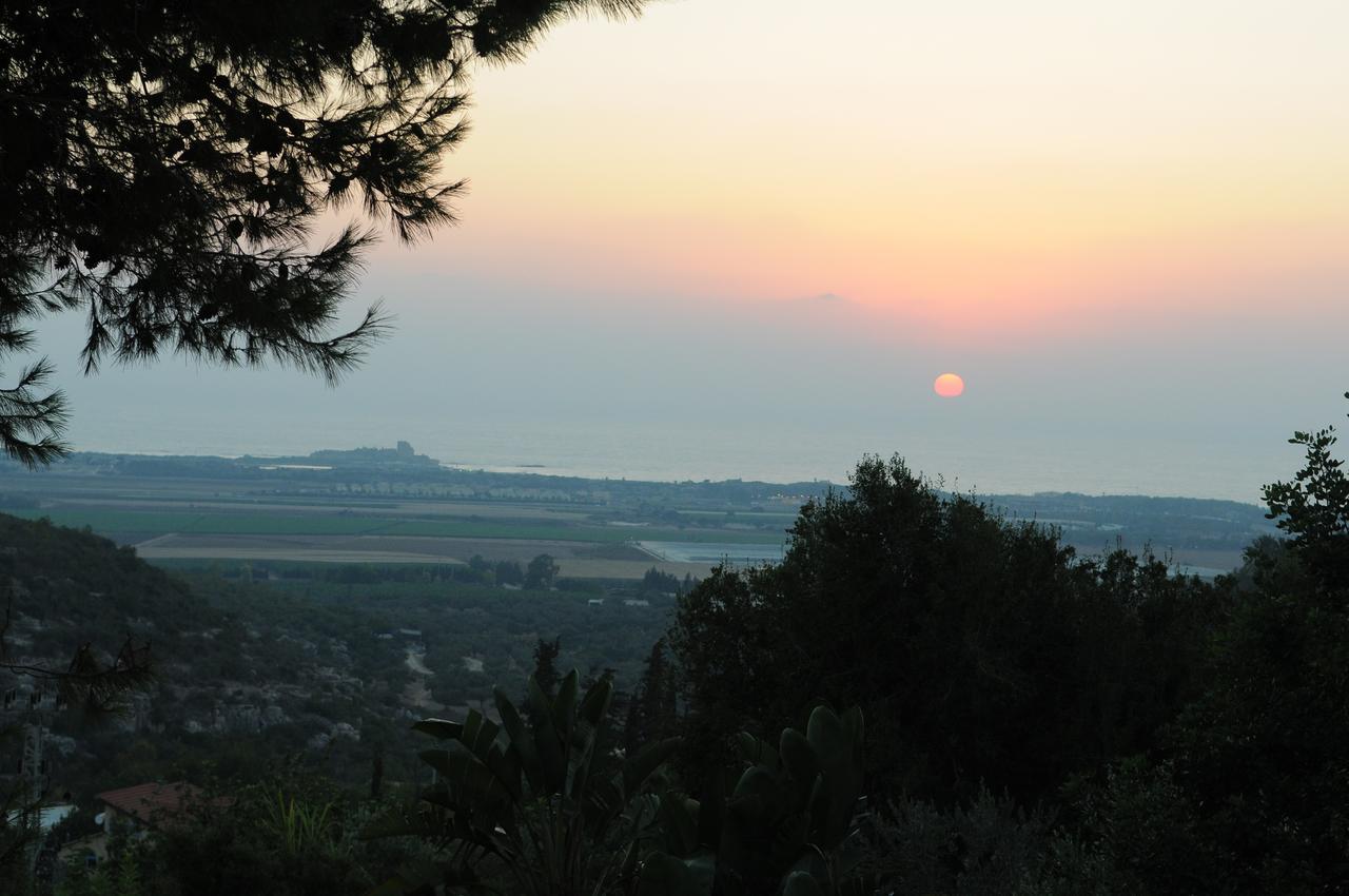 Villa Above The Sea Ein Hod Esterno foto