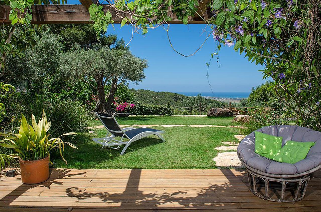 Villa Above The Sea Ein Hod Esterno foto