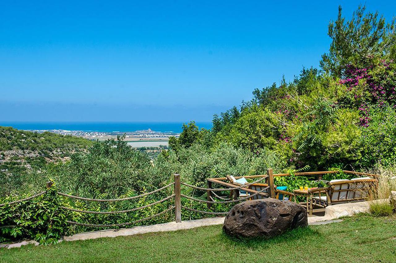 Villa Above The Sea Ein Hod Esterno foto