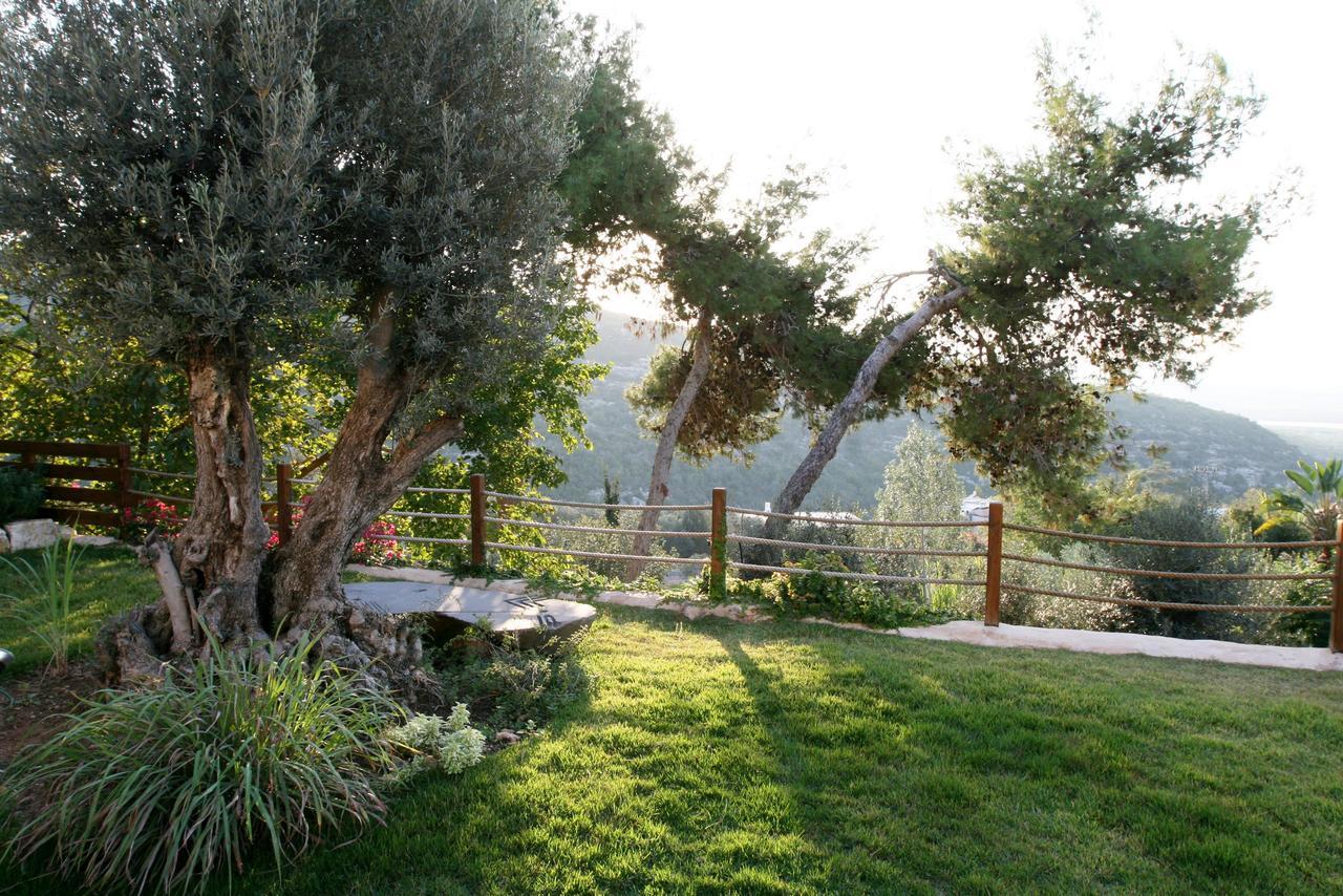 Villa Above The Sea Ein Hod Esterno foto