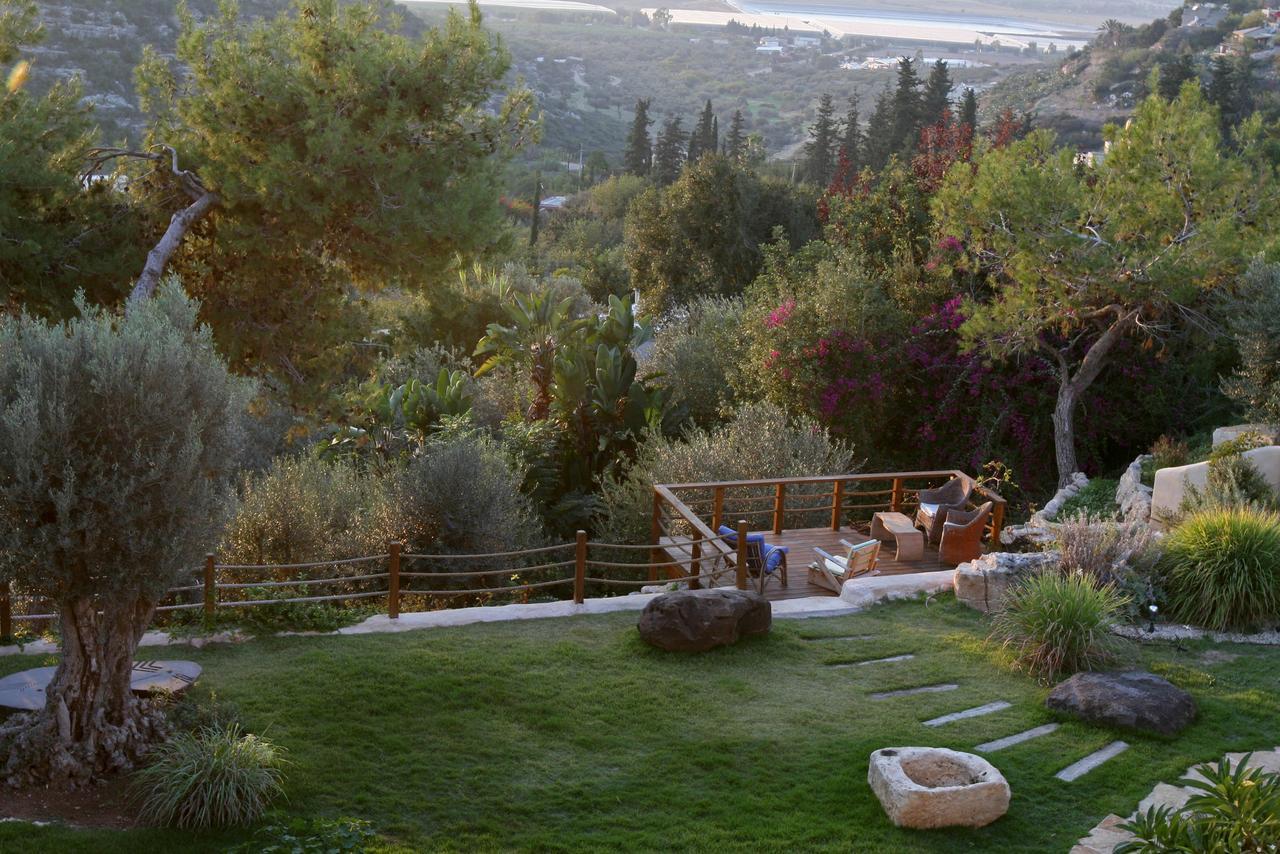 Villa Above The Sea Ein Hod Esterno foto
