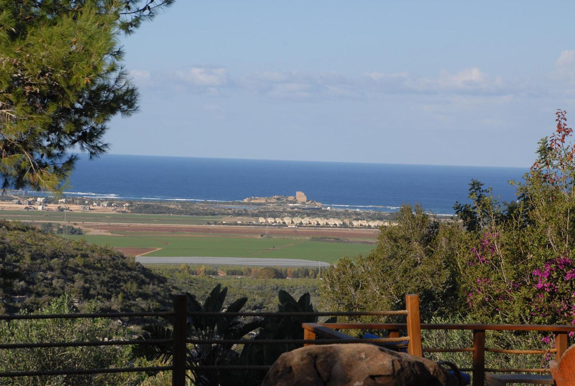 Villa Above The Sea Ein Hod Esterno foto