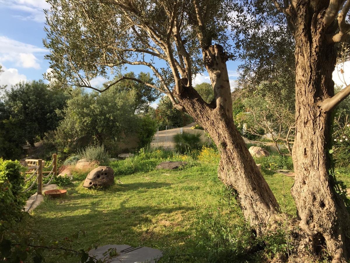 Villa Above The Sea Ein Hod Esterno foto